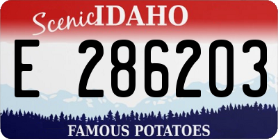 ID license plate E286203