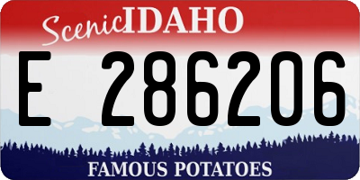 ID license plate E286206