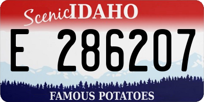 ID license plate E286207