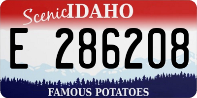 ID license plate E286208