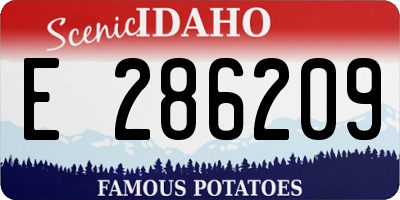 ID license plate E286209