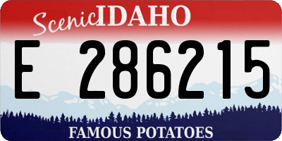 ID license plate E286215