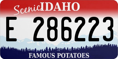 ID license plate E286223