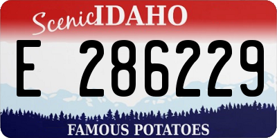ID license plate E286229