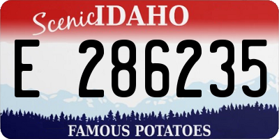 ID license plate E286235