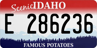 ID license plate E286236