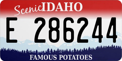 ID license plate E286244