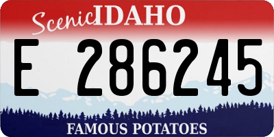 ID license plate E286245