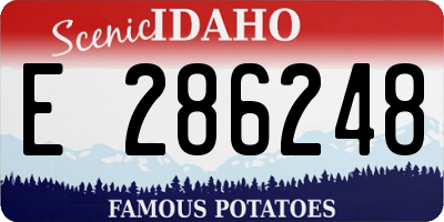 ID license plate E286248