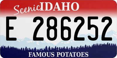 ID license plate E286252