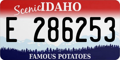 ID license plate E286253