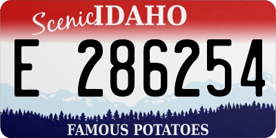 ID license plate E286254