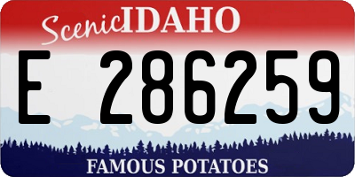 ID license plate E286259