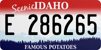 ID license plate E286265