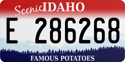 ID license plate E286268