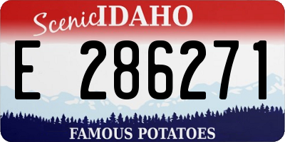 ID license plate E286271