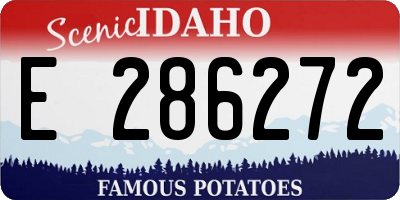 ID license plate E286272