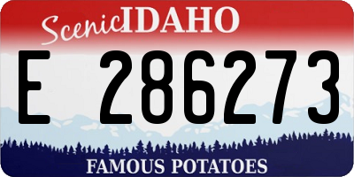 ID license plate E286273