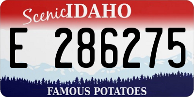 ID license plate E286275