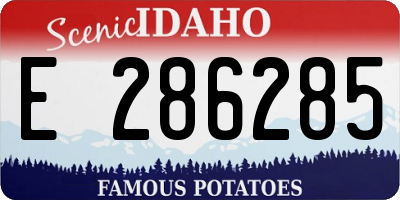 ID license plate E286285