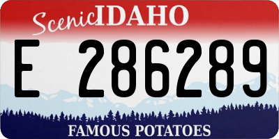 ID license plate E286289