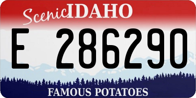 ID license plate E286290