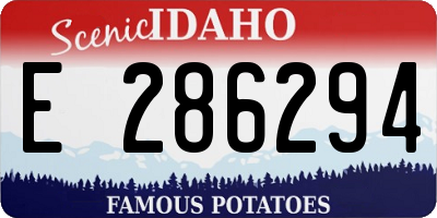 ID license plate E286294