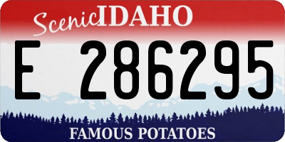 ID license plate E286295