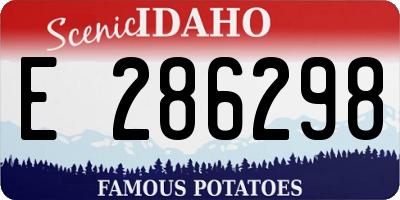 ID license plate E286298