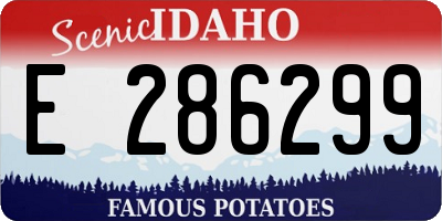 ID license plate E286299