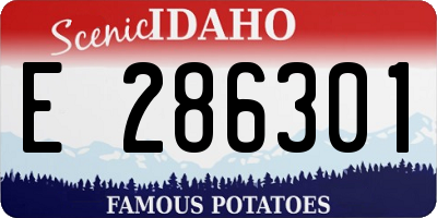 ID license plate E286301