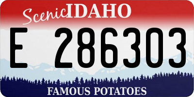 ID license plate E286303