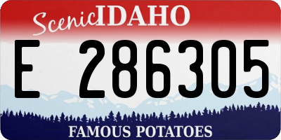 ID license plate E286305