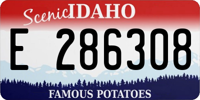 ID license plate E286308