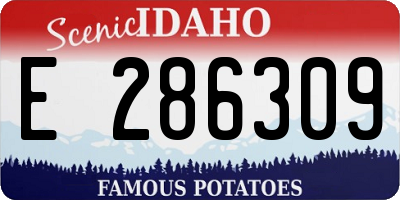 ID license plate E286309