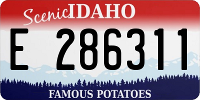 ID license plate E286311