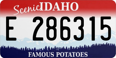ID license plate E286315