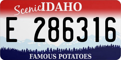 ID license plate E286316