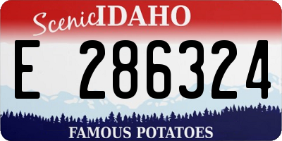 ID license plate E286324