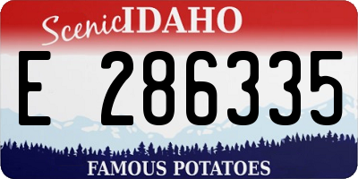 ID license plate E286335
