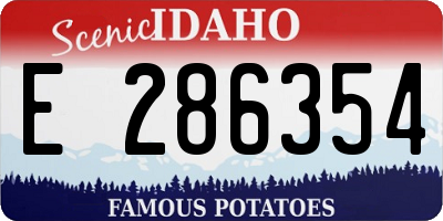 ID license plate E286354
