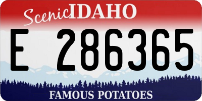 ID license plate E286365