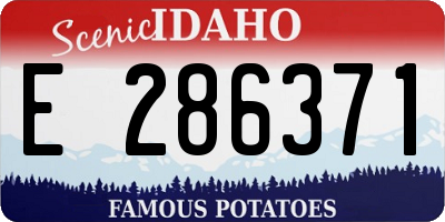 ID license plate E286371