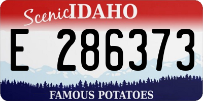 ID license plate E286373