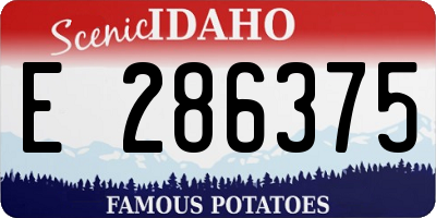ID license plate E286375