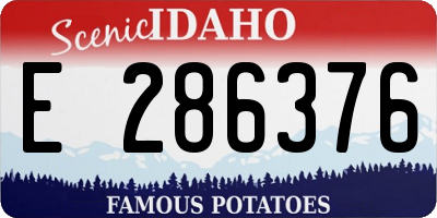 ID license plate E286376