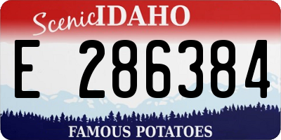 ID license plate E286384