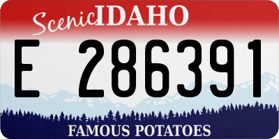 ID license plate E286391