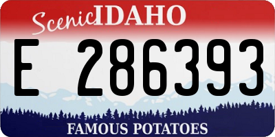 ID license plate E286393