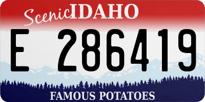 ID license plate E286419